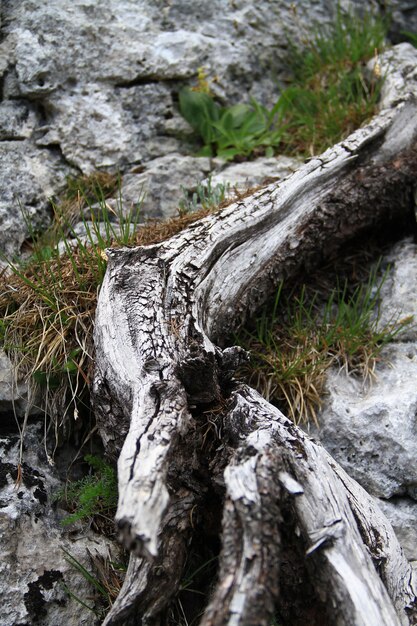 Photo des rochers sur des rochers