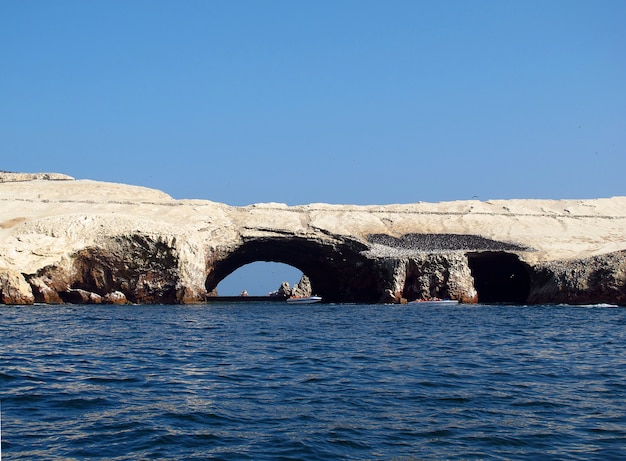 Roches avec des animaux dans l'océan Pacifique, Paracas, Pérou