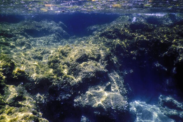 Photo les roches au fond de l'océan