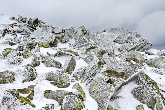 Roches couvertes de mousse glacée sous une fine couche de neige et de glace