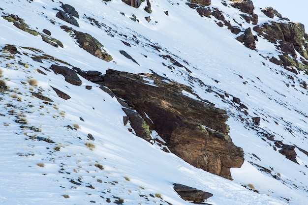 Roches dans la neige