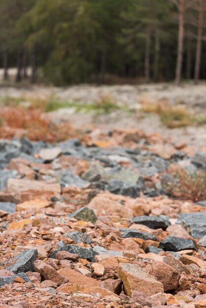 roches de granit rouge et gris