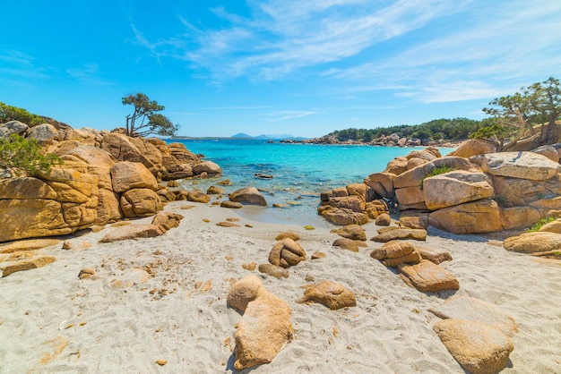 Roches jaunes dans la plage de Capriccioli en Costa Smeralda Italie