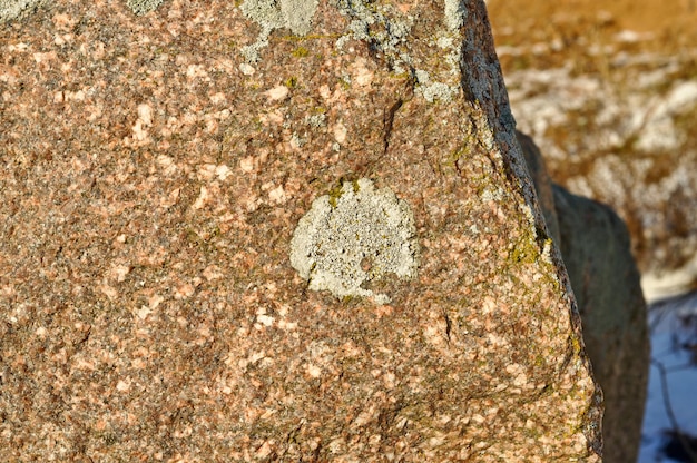 Roches et lichen