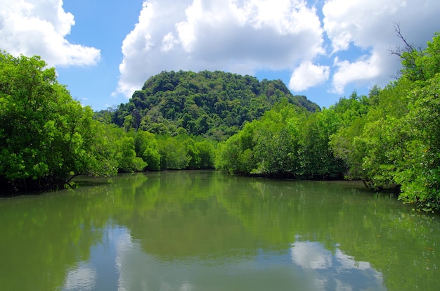 Roches et mer à Krabi, Thaïlande