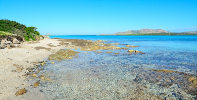 Roches et plantes sur le littoral de Stintino Italie