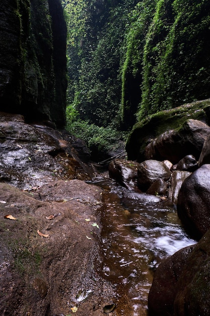 Des roches de rivière naturelles exotiques mousseuses