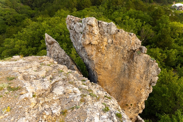 Roches sauvages grises et forêt verte sauvage. Vue d'en-haut. Paysage.