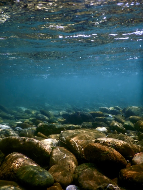 Roches sous l'eau sur le lit de la rivière, rivières d'eau douce sous l'eau, eau cristalline, cailloux sur le lit de la rivière