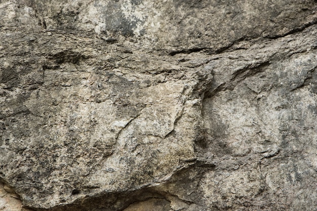 Les roches de la surface de fond