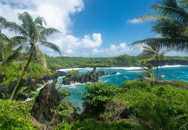 Roches vertes à Waianapanapa sur la route de Hana à Maui