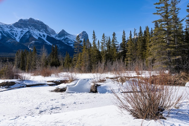 Rocheuses canadiennes de beaux paysages au cours de l'hiver de montagnes enneigées de la rivière gelée Canmore AB