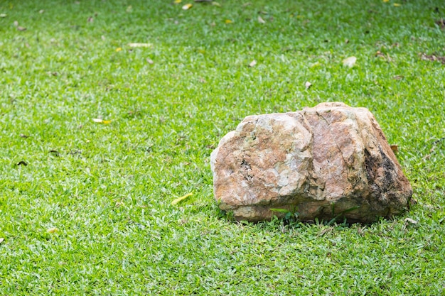 Rock sur l&#39;herbe