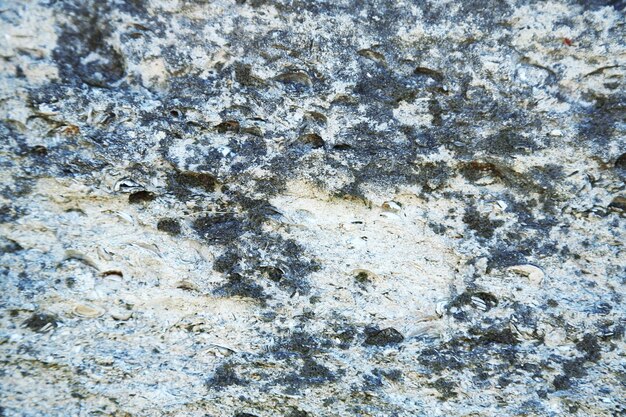 Rock texture fond closeup