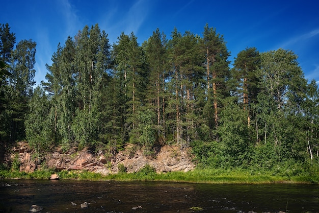 Rocky River Bank avec forêt mixte