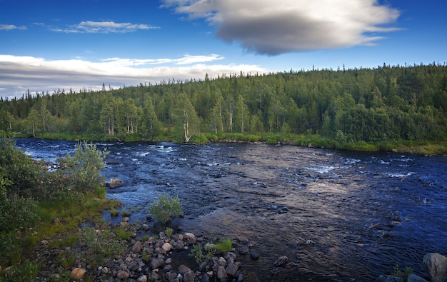 Rocky River Bank avec forêt mixte.