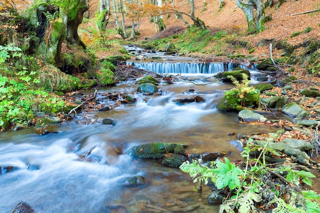 Rocky Stream, qui traverse la forêt de montagne d'automne