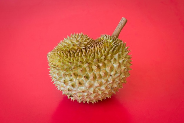 Roi des fruits en Asie durian sur fond rouge gros plan