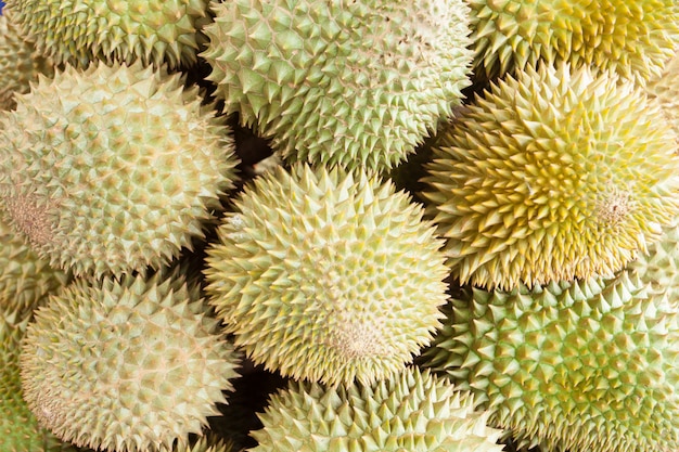 Roi des fruits, durian.