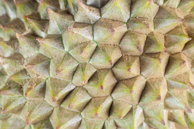 roi des fruits, fruit durian sur fond blanc.