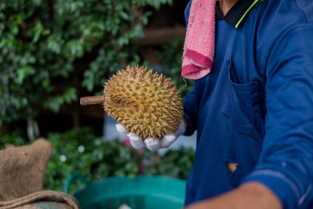 Roi des fruits.