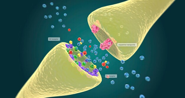 Rôle de l'agoniste partiel de la dopamine