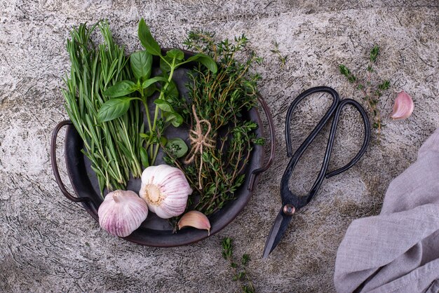 Romarin thym et basilic Herbes fraîches du jardin