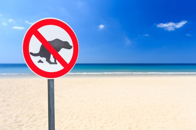 Rond aucun signe de caca de chien sur la plage