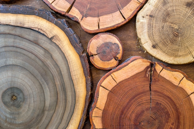 Rond en bois non peint solide naturel écologique écologique de couleur douce brun et jaune fond de souches craquelées, sections coupées d'arbres avec des anneaux annuels de différentes tailles et formes, texture d'arrière-plan.