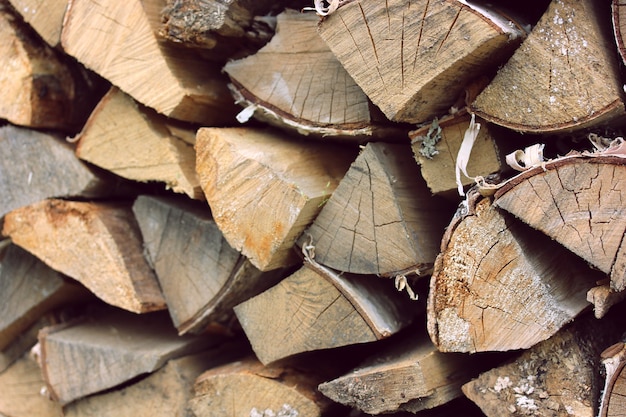 Des rondins de bouleau et des tas de bois se bouchent.