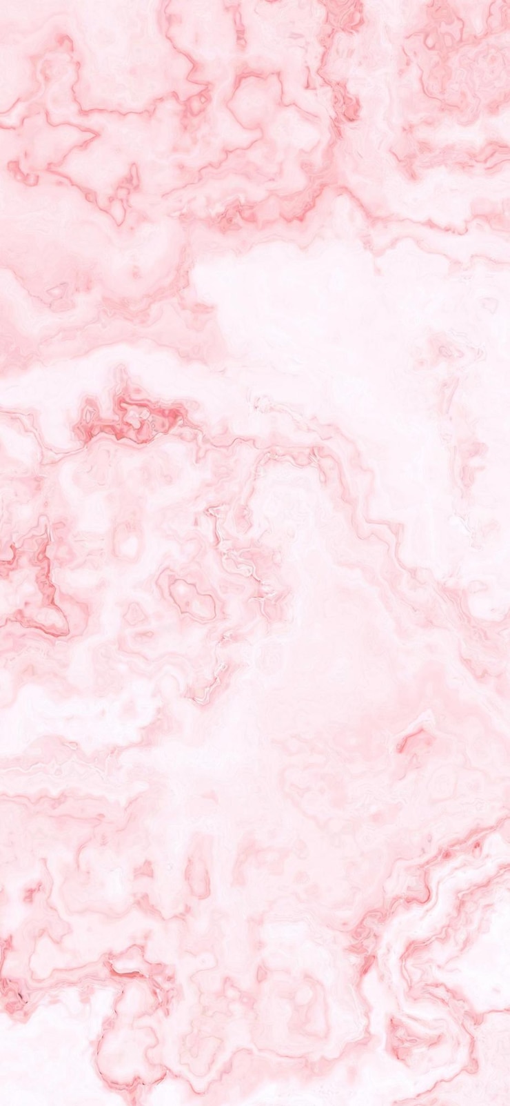 Photo rose et blanc dans une couleur rose