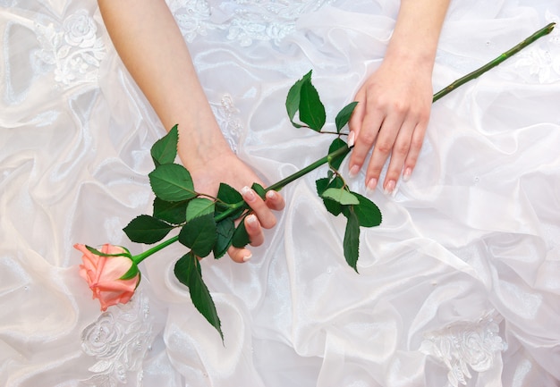 Rose dans les mains de la mariée