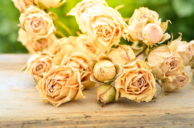 Rose fanée sur bois