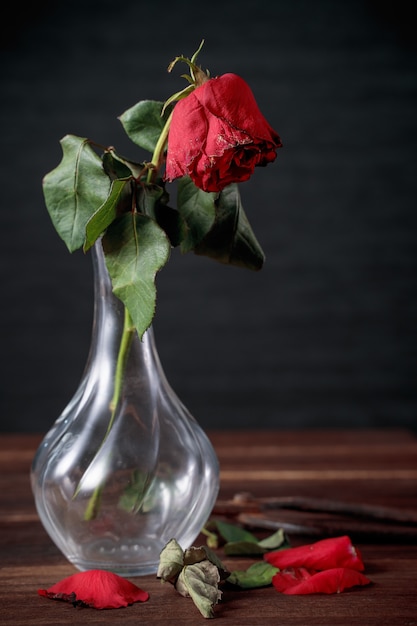 Rose fanée sur fond gris foncé et table en bois avec pétales et feuilles d'automne, concept de design de la triste romance de la Saint-Valentin, brisée, copie, espace.