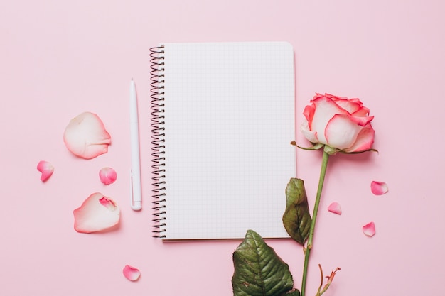 Rose fleur et pétales sur cahier de page vide isolé sur blanc.