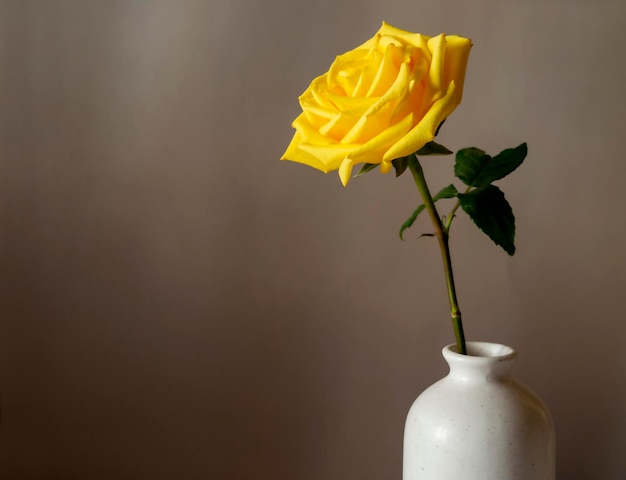 Rose jaune dans un vase nature morte