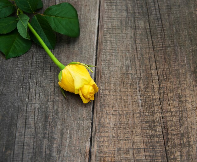 Rose jaune sur une table