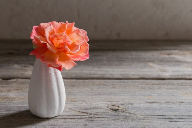 Rose orange dans un petit vase sur le vieux mur