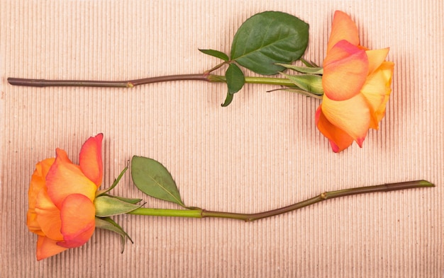 Une rose orange sur une surface de papier brun