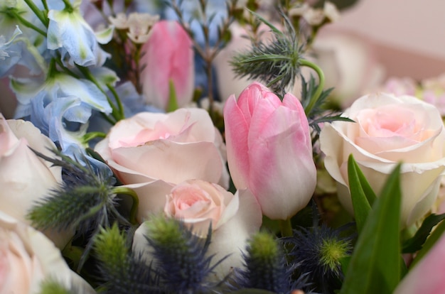 Rose rose arrangement de fleurs sur fond blanc