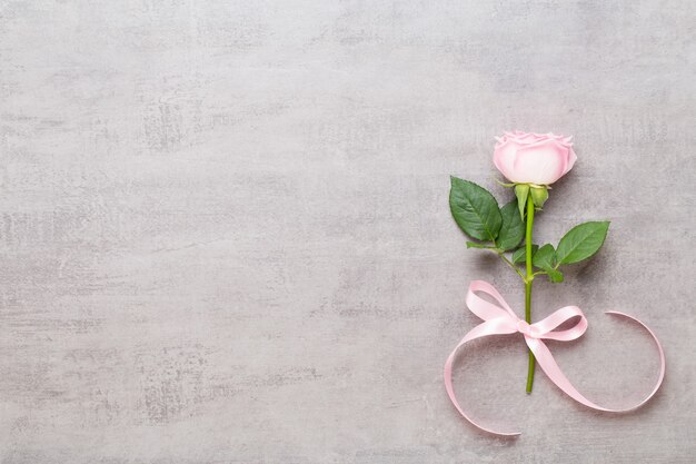 rose rose sur fond gris. Mise à plat, vue de dessus