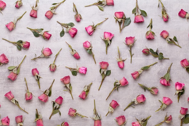 rose rose sur fond gris. Mise à plat, vue de dessus