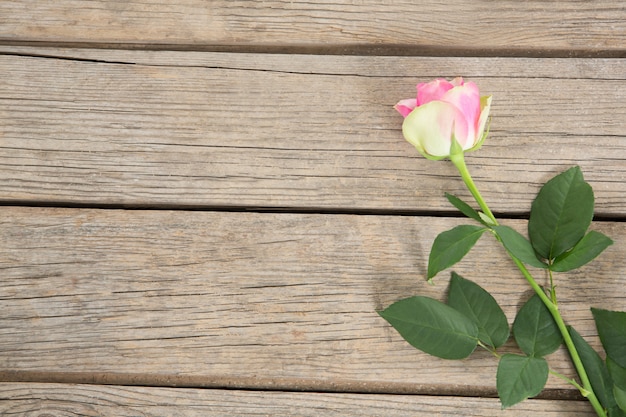 Rose rose sur table en bois