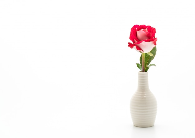 Rose rouge dans un vase blanc