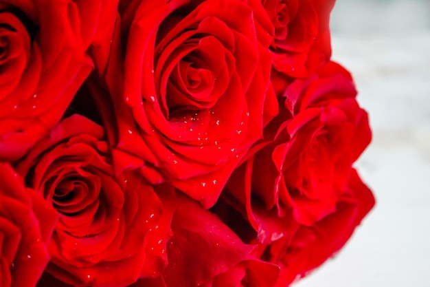 Rose rouge sur un fond en bois Valentine's Day giftselective focus