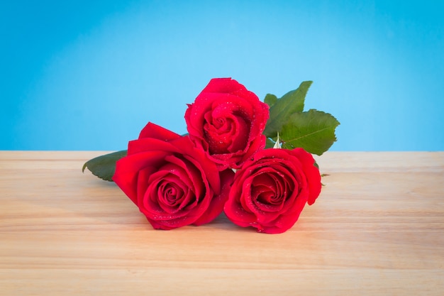 Rose rouge fraîche sur le bureau en bois avec fond bleu