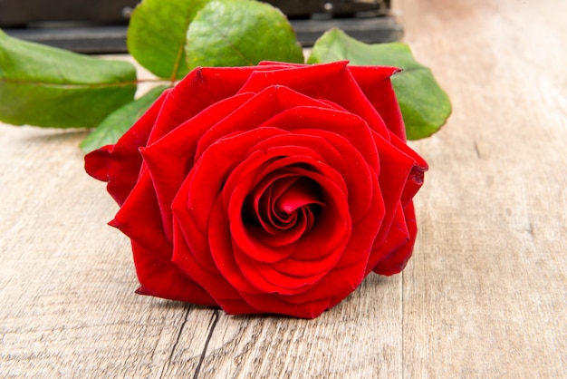 Rose rouge placée sur une table antique