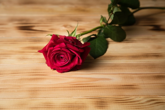 Rose rouge sur une surface en bois