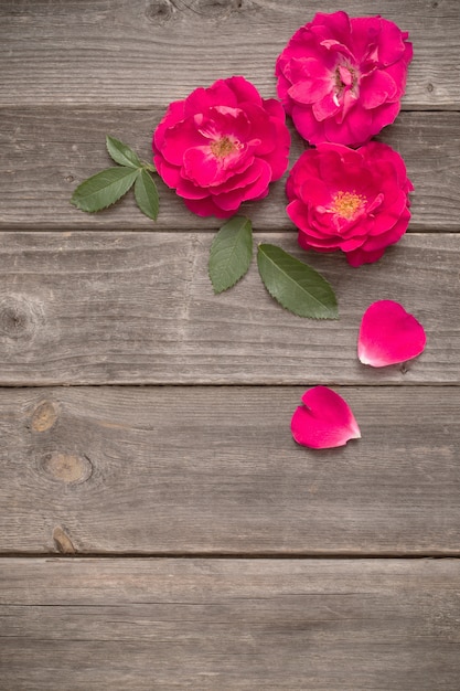 Rose rouge sur table en bois