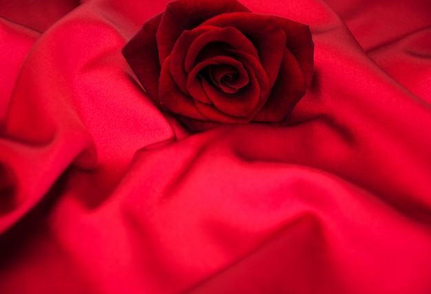 rose rouge